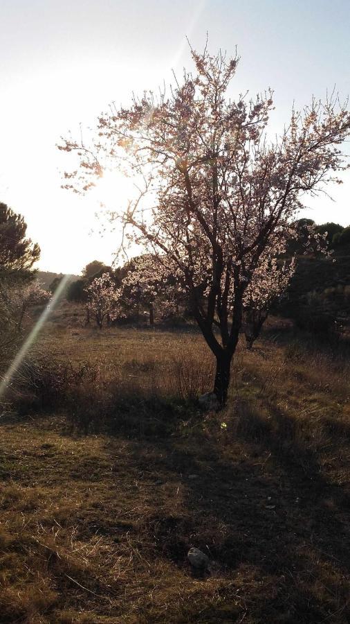 Casa Rural Con Jacuzzi La Parrilla  Εξωτερικό φωτογραφία